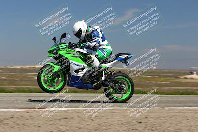media/Mar-24-2025-2WTD (Mon) [[55b4b08488]]/B Group/1220pm (Wheelie Bump)/